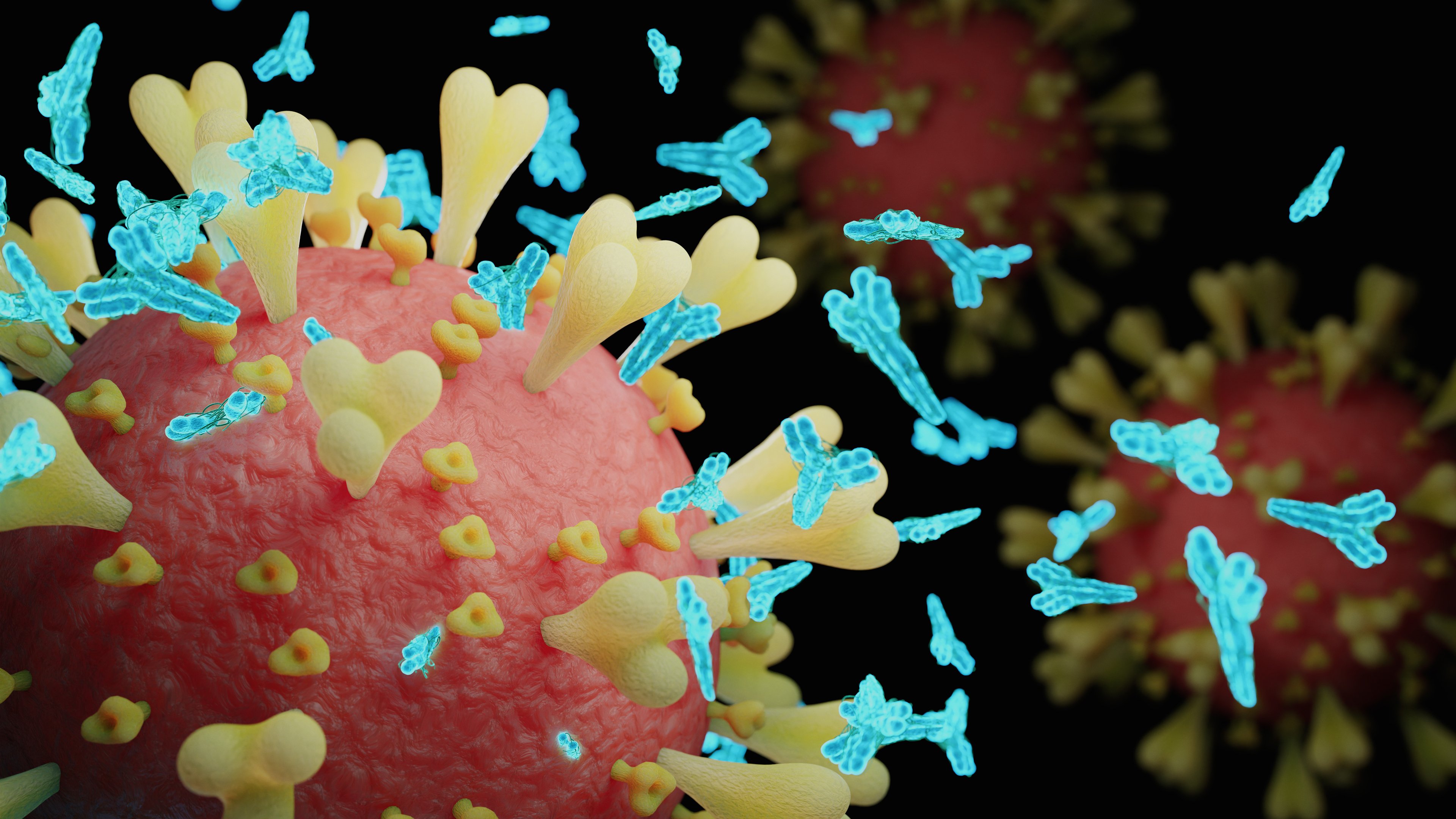 Abs COVID-19 antibody