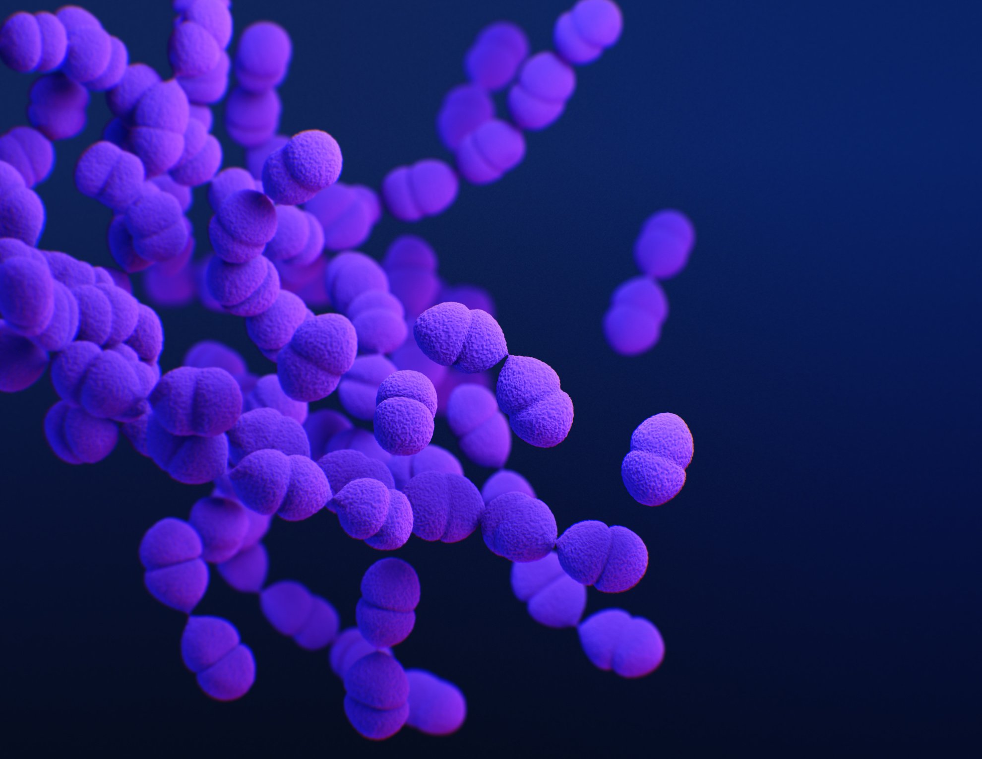 Medical illustration of drug resistant bacteria. Courtesy of the Public Health Image Library, Centers for Disease Control and Prevention, Antibiotic Resistance Coordination and Strategy Unit, Meredith Newlove.
