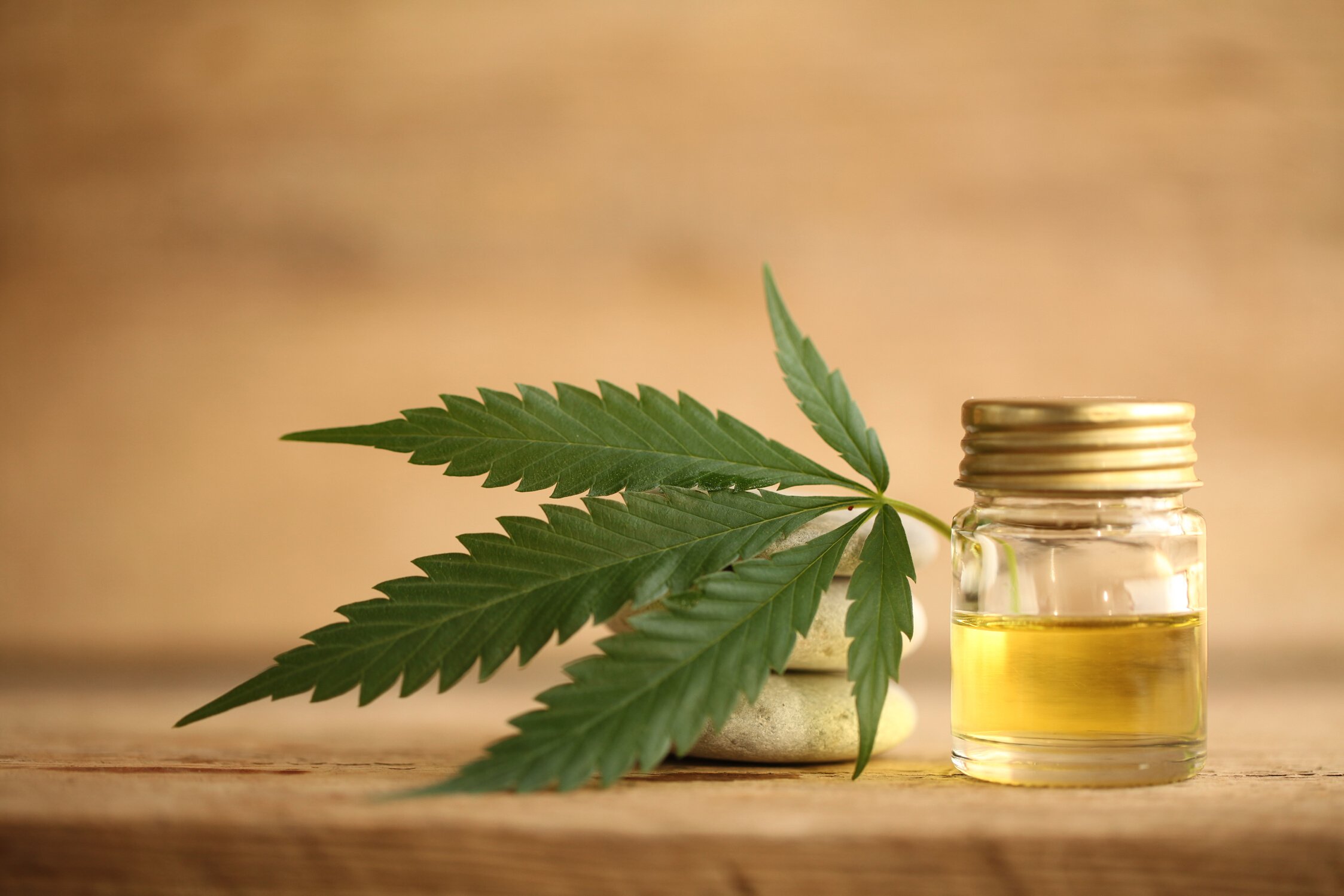 cannabis cbd product oil