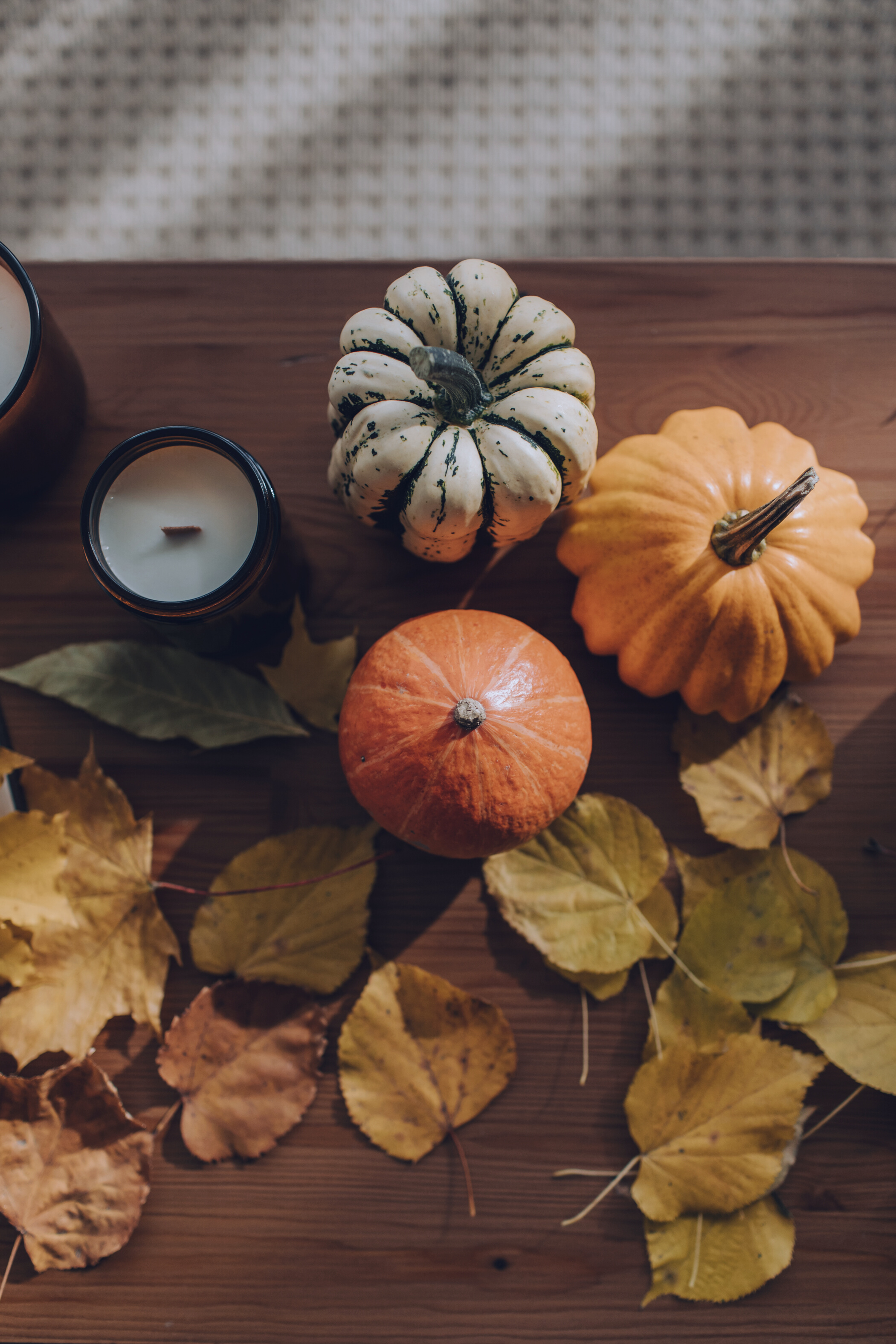 Pumpkins and Dried Leaves