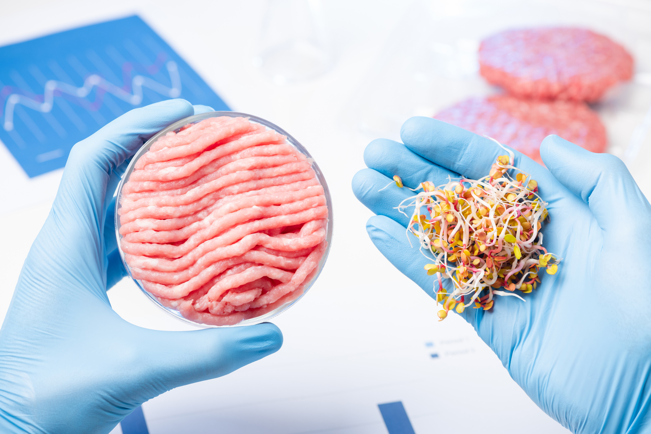 Lab scientist show plant material for animal meat substitute